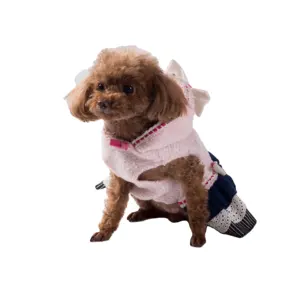 Articles personnalisés pour chiens Accessoires de marque mode grandes tailles veste manteaux produits pour animaux de compagnie mode sweat à capuche vêtements pour chiens de créateur luxe