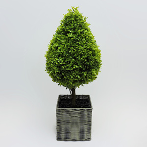 <span class=keywords><strong>Piante</strong></span> artificiali finte <span class=keywords><strong>in</strong></span> <span class=keywords><strong>vaso</strong></span> decorazione del <span class=keywords><strong>cortile</strong></span> casa ufficio <span class=keywords><strong>piante</strong></span> verdi artificiali <span class=keywords><strong>in</strong></span> <span class=keywords><strong>vaso</strong></span> di plastica - Product Image 2