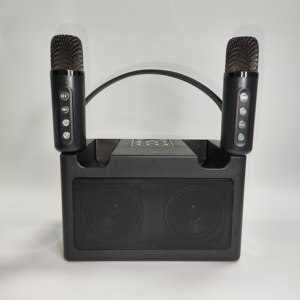 BT Loa nhà KTV tất cả trong một micro cầm tay đôi điệp khúc K bài hát karaoke loa sd301 - Product Image 3