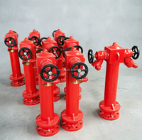 Hydrant d'incendie souterrain extérieur en fonte ductile de type pilier à barillet sec avec vanne TOWAY FIRE