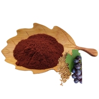 Fabricants d'extrait de pépins de raisin, complément alimentaire naturel, capsules d'extrait de pépins de raisin, procyanidine 10:1