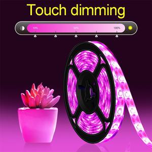 SIROKA-tira de luces Led inteligente IP68, resistente al agua, 2835, Flexible, de neón, 12v, de espectro completo - Product Image 5