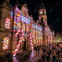 Proyector de Mapeo 3D de Alto Brillo para Arte Visual en Exteriores y Exhibiciones Culturales en Edificios