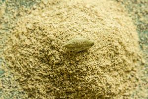 Poudre de cardamome verte de qualité supérieure, naturelle, finement moulue, épice Elaichi au parfum intense et au goût authentique - Product Image 6