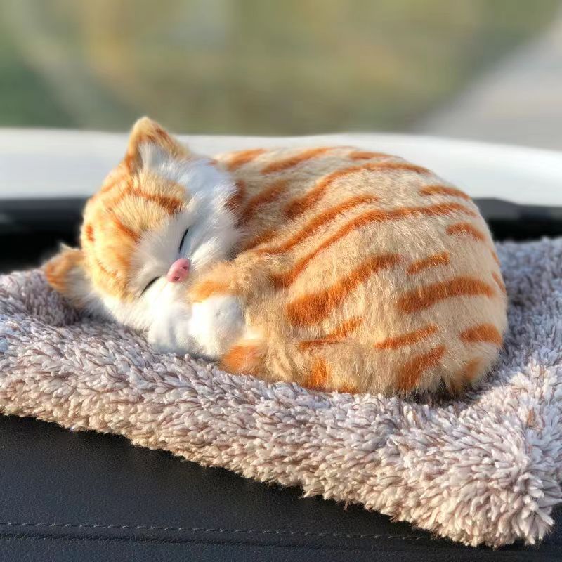 Grand chat orange