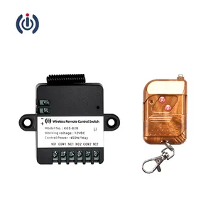 Wide selection B20 2 channels relay switch with remote wireless switch for lighting RF 433MHz