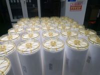 MYTC-SSS-MF-6338 Voedselveilige spiraalvormig gewikkelde microfiltratiemembraan, veilig, niet-toxisch PES/PVDF materiaal, 50-200nm MWCO 35-70 Max