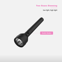 Senter LED Mini portabel, untuk berkemah luar ruangan, ringan dengan pengisian USB lampu metalik tubuh untuk penggunaan darurat