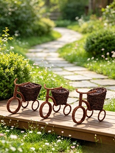 Jardinière tricycle <span class=keywords><strong>en</strong></span> rotin tressé à la main, panier <span class=keywords><strong>en</strong></span> osier <span class=keywords><strong>en</strong></span> forme de vélo, style américain rustique, décoration de jardin, pot de plante intérieur/extérieur - Product Image 2
