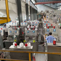 Machine à teindre les fils ZYTT241B HTHP avec chambre à broches en acier inoxydable pour le développement d'échantillons en laboratoire et les tests de couleur