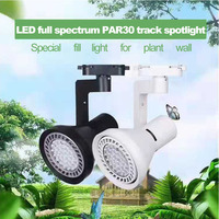 Projecteur LED de secours à spectre complet, éclairage en mousse pour plante, aménagement paysager,