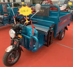 TIANYING merek kargo sepeda roda tiga elektrik trike untuk sepeda roda 3 dengan motor 1000W dan kargo