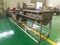 Exportación a Ghana y Omán de Máquina de Lavado de Jengibre y Cúrcuma/Línea de Procesamiento de Limpieza de Ajo