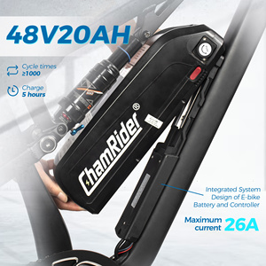 Vélo électrique Chamrider DH420, stock européen, moteur à <span class=keywords><strong>assistance</strong></span> au pédalage à moyeu arrière, batterie au lithium 48V 20Ah, certifié EN15194, <span class=keywords><strong>VTT</strong></span>, <span class=keywords><strong>VTT</strong></span> - Product Image 2
