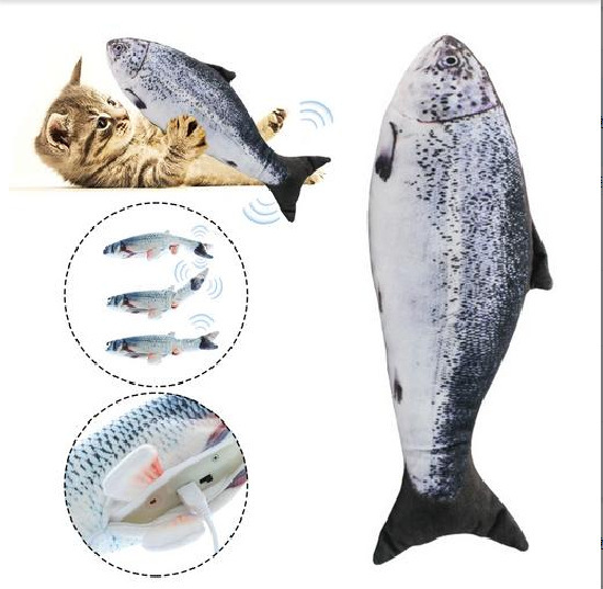 Salmón