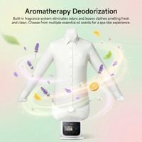 Défroisseur Vapeur Intelligent Portable Électrique pour Vêtements, Machine à Repasser et Sécher, Idéal Maison et Voyage, Entretien des Vêtements, Livraison Directe