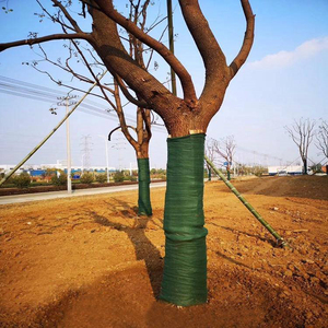 Màu xanh lá cây vườn nhà máy sử dụng dệt kim nhựa Tie - Product Image 3