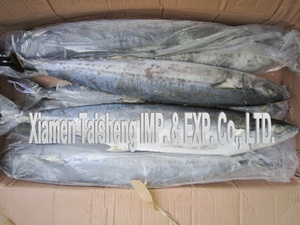 ปลาแมคเคอเรลคิงฟิชแช่แข็งคุณภาพดีขาย - Product Image 4