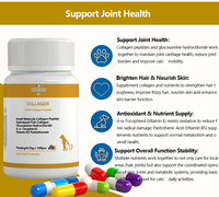 OEM ODM Vente en gros de capsules de collagène à petites molécules pour animaux de compagnie, absorption rapide pour la santé de la peau et de la digestion des chiens et des chats - Biologique sans céréales