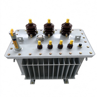 Transformateur immergé dans l'huile triphasé Ampereon 50Hz 160kVA 10kV vers 0,4kV certifié CE pour la distribution d'énergie internationale