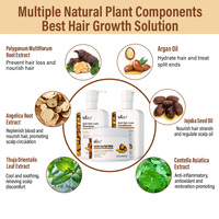 Gingembre Polygonum Multiflorum Cacumen Platycladi Anti-prurigineux Réparateur Anti-pelliculaire Anti-chute de cheveux Shampooing 250ml