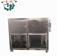 Fruit/Aardbei/Mango Vriesdroger Lyofilisatiemachine/Vriesdroogapparatuur