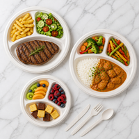 Assiette jetable en bagasse de 10 pouces sans plastique, compartimentée, pour la préparation des repas, les cantines scolaires et la restauration