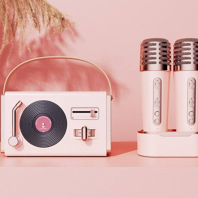 Retro Radio With Built-in Speakers Vinyl Records Vintage Speakers With Microphone FM TF U Disk Portable Karaoke Speaker