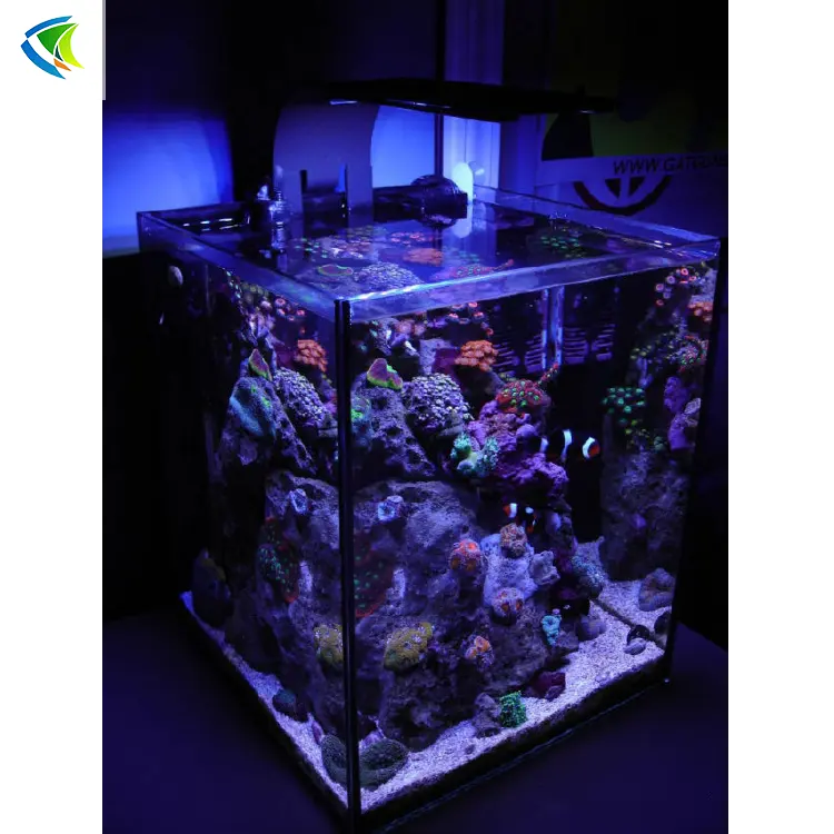 Kích Thước Lớn Acrylic Aquariums 100 Gallon 300L, Boyu Acrylic Aquarium Tank &