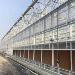 Invernadero comercial de vidrio acuapónico para agricultura ecológica con cubierta de hoja de policarbonato ventilador de refrigeración/calentador para cría - Product Image 2