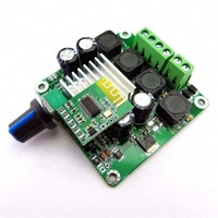 Carte d'amplificateur de puissance numérique 50W Stereo Class D Power Amplifier Board 5.0 Power Amplifier Board Impact-free TPA3116