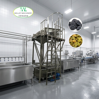 Ligne complète de lavage des raisins et des prunes avec composants moteur essentiels, garantie 1 an