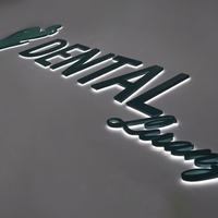 Lettres de logo LED personnalisées, enseigne en métal 3D, acrylique rétroéclairé, publicité pour studio photo, toile de fond photo, hôtels, magasins, entreprises