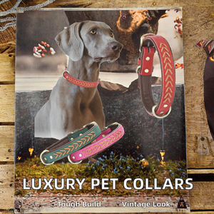 Collier pour chien en cuir, nouvelle arrivée en gros, luxe, personnalisé, tressé, design coloré, réglable, élégant, simple, classique - Product Image 3