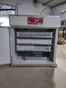 Incubadora automática de huevos de gallina, Micro ordenador, a la venta - Product Image 6