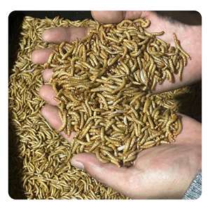 Aliments pour tilapias et truites Vers de farine séchés Une catégorie populaire d'aliments secs - Product Image 1