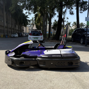Factory <strong>Sales</strong> 4 Strokes Petrol <strong>Go</strong> <strong>Kart</strong> <strong>for</strong> Adult Professional <strong>Go</strong>-<strong>kart</strong> Manufacturer 200cc Commercial Drift Gasoline Karting Car - Product Image 5
