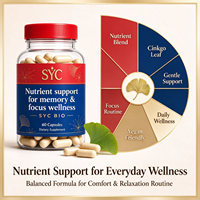 SYC BIO Brain Memory Focus Ginkgo Biloba Capsules 60 Vegan Natural Dietary Supplement Adult Immune Sleep Support OEM Customized