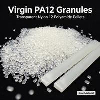 PA12 Nylon12 vierge, matière première, granulés transparents, faible absorption d'eau, plastique d'ingénierie