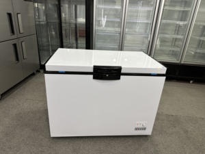Congelador Horizontal de Una Puerta de 100L, 150L, 200L, con Descongelación Manual Mecánica, Enfriamiento Directo, Certificado CE, 1 Año de Garantía - Product Image 2
