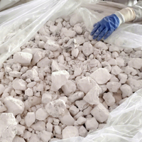 Chaux Végétale Premium à 90% d'Oxyde de Calcium – Bénéfices Nutritionnels, Traitement des Eaux Usées, Haute Qualité, Direct Usine Vietnamienne, en Morceaux