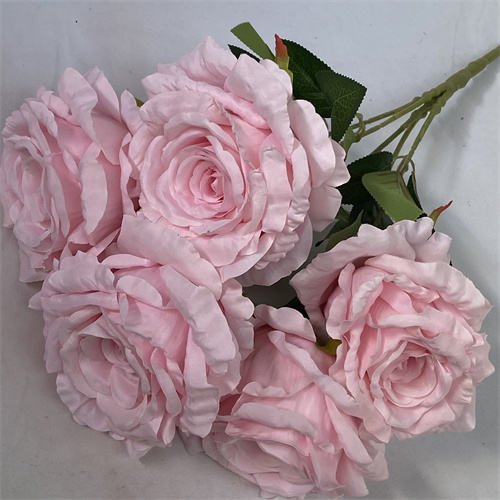 สีชมพูอ่อน