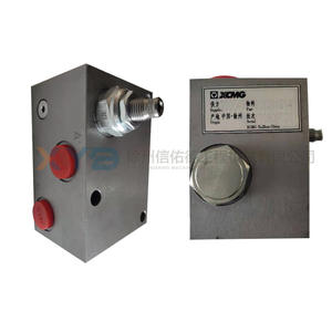 Bloqueo Hidráulico Bidireccional 09302540DWG/01 para Motoniveladora XCMG GR165/180/215, 803011214, Piezas Originales de Fábrica Usadas para Maquinaria de Construcción - Product Image 1