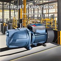 Pompe à jet haute pression modèle AC 1hp Pompe de coupe d'eau auto-amorçante en acier inoxydable et fer avec source d'alimentation électrique 75kw