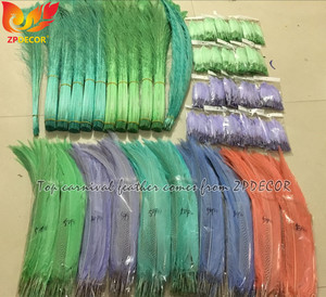 Expédition réelle vers le client de ZPDECOR, <span class=keywords><strong>plumes</strong></span> de queue de faisan argentées teintes en gros pour costumes de carnaval - Product Image 5