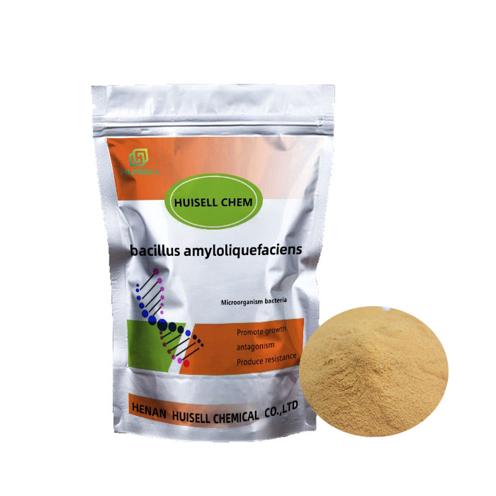 Заводская цена, оптовая продажа, биологическое удобрение, порошок Bacillus Amyloliquefaciens 100 Bilion Cfu/g