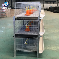 Cage automatique pour poulets de chair