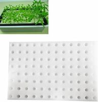 Feuille de panneau de mousse de plateaux de radeau flottant hydroponique pour l'agriculture hydroponique plantation serre culture de légumes
