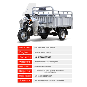 <strong>Compact</strong> and Flexible Three Wheeled Gasoline Passenger Car Motorcycle/fuel Powered <strong>Tricycle</strong> - Product Image 6