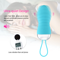 Ultimatives G-Punkt-Klitoris massage gerät für Frauen 10 Modi Wireless Water proof Pink für Egg Bullet Vibrator USB Silent Portable Vaginal